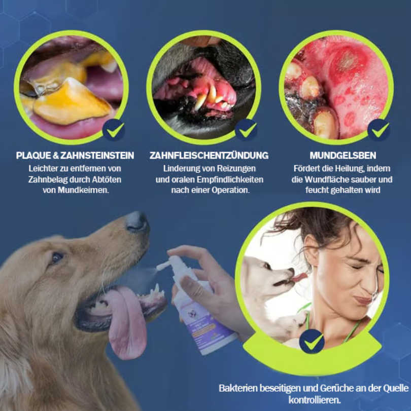 🔥 Zahnpflege-Spray für Hunde und Katzen – 💥 Unschlagbares Angebot!