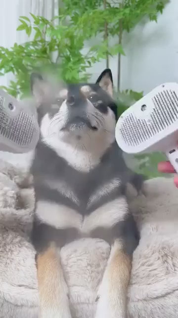 🐾Haustierspray Haarentfernungskamm🐶